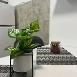 Comfort Corner Апартаменти Скоп'є