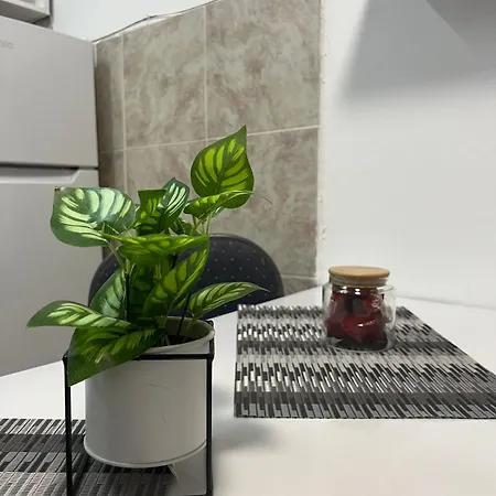 Comfort Corner Apartment Skopje