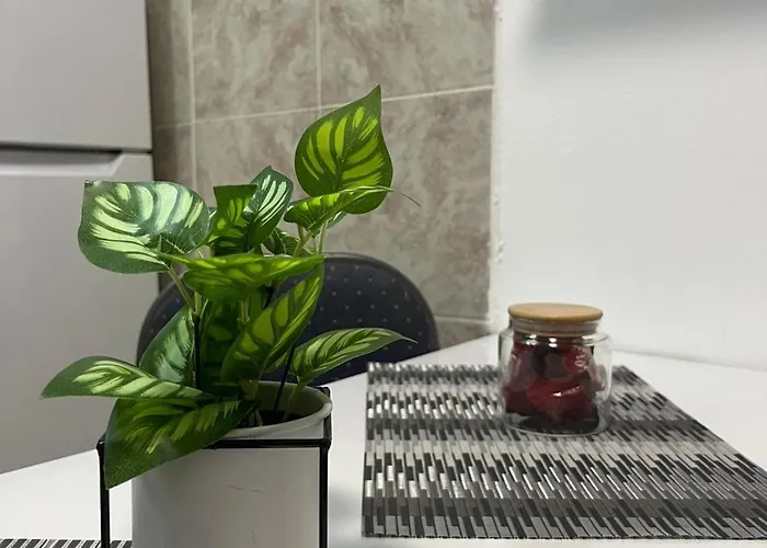 Comfort Corner Lejlighed Skopje